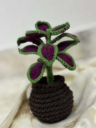 Lavender Luxe Crochet Pot