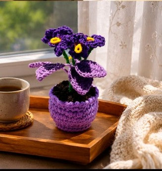 Twilight Butterfly Bloom Pot